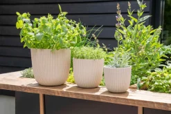 Clearance Capi Europe Blumentopf Groove beige D 21,5 H 20 cm Blumentöpfe & Pflanzgefäße|Blumentöpfe