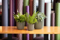 Clearance Capi Europe Blumentopf Groove grün D 13 H 12 cm Blumentöpfe|Blumentöpfe & Pflanzgefäße