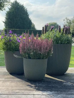 Clearance Capi Europe Blumentopf Groove grün D 13 H 12 cm Blumentöpfe|Blumentöpfe & Pflanzgefäße