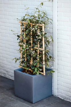 Best Capi Europe Blumentopf Urban Smooth 40 x 40 x 40 cm grau Blumentöpfe|Blumentöpfe & Pflanzgefäße