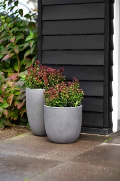 Hot Capi Europe Blumentopf Urban Smooth D 43 H 41 cm grau Blumentöpfe|Blumentöpfe & Pflanzgefäße