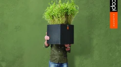 Outlet Capi Lux Terrazzo Pflanzkübel quadratisch 20 x 20 x 20 cm schwarz Blumentöpfe|Blumentöpfe & Pflanzgefäße