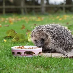 CJ Wildlife Igelfutterschale Myrte weiß D 13 H 4 cm Eichhörnchen- & Igelfutter