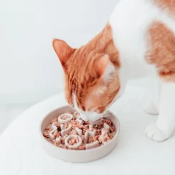 Discount District 70 Hundenapf Bamboo Anti-Schling S beige D 13,5 H 2,6 cm Futternäpfe & Trinknäpfe|Futternäpfe & Trinknäpfe