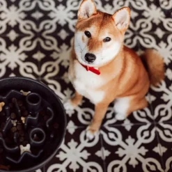 Online District 70 Hundenapf Bamboo Anti-Schling M grau D 21 H 5,3 cm Futternäpfe & Trinknäpfe|Futternäpfe & Trinknäpfe