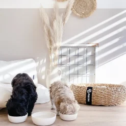 Outlet District 70 Hundenapf Bamboo M beige D 17,5 H 5,8 cm 1000 ml Futternäpfe & Trinknäpfe|Futternäpfe & Trinknäpfe