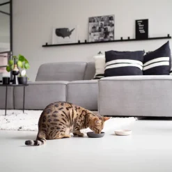 Hot District 70 Katzennapf Bamboo XS beige D 12 H 2,8 cm Futternäpfe & Trinknäpfe|Futternäpfe & Trinknäpfe