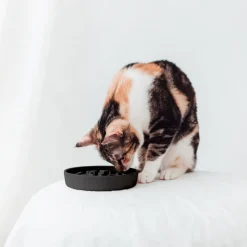 Hot District 70 Katzennapf Bamboo Anti-Schling S grau D 13,5 H 2,6 cm Futternäpfe & Trinknäpfe|Futternäpfe & Trinknäpfe