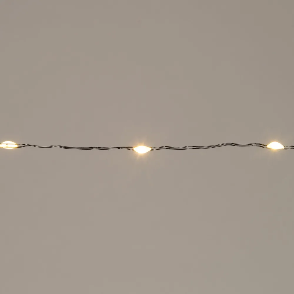 Discount Drahtlichterkette 1 m mit 10 LEDs warmweiß Mini- & Drahtlichterketten