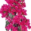 Outlet Drillingsblume (Bougainvillea glabra 'Sanderiana') D 21 H 70 cm Blühende Pflanzen|Kletterpflanzen
