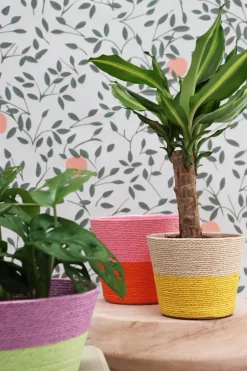 Best Duif Pflanzkorb Riley naturell / gelb D 15,5 H 13 cm Pflanzkörbe|Pflanzkörbe