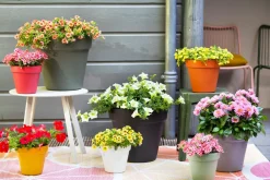 Outlet Easyday Blumentopf Smile D 39 cm H 34,7 cm schwarz Blumentöpfe|Blumentöpfe & Pflanzgefäße