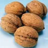 Discount Echte Walnuss (Juglans regia 'Broadview') Blühende Pflanzen|Obstbäume & -Sträucher