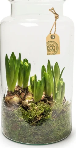 Clearance Eco Flasche Nobles D 19 H 35 cm Vasen & Krüge|Blumentöpfe & Pflanzgefäße