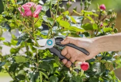 Sale EcoLine Gartenschere Gartenscheren|Schneiden & Stutzen