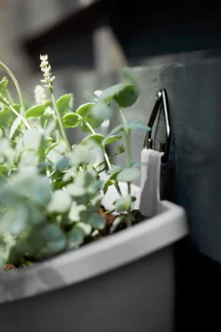 Hot Elho Balkonkasten Corsica anthrazit 51 x 17 x 23 cm Balkonkästen|Blumentöpfe & Pflanzgefäße