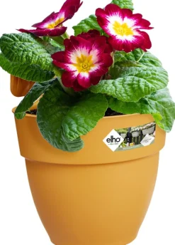 Sale Elho Balkonkasten Vibia Easyhanger gelb 20,5 x 24,1 x 26,5 cm Blumenampeln & Hängetöpfe|Blumentöpfe & Pflanzgefäße