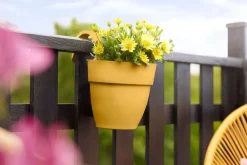 Sale Elho Balkonkasten Vibia Easyhanger gelb 20,5 x 24,1 x 26,5 cm Blumenampeln & Hängetöpfe|Blumentöpfe & Pflanzgefäße