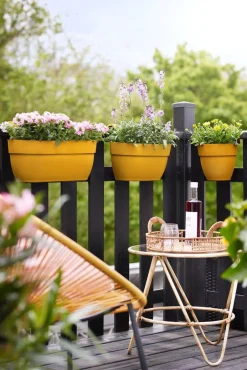 Sale Elho Balkonkasten Vibia Easyhanger gelb 20,5 x 24,1 x 26,5 cm Blumenampeln & Hängetöpfe|Blumentöpfe & Pflanzgefäße