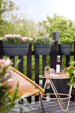 Discount Elho Balkonkasten Vibia Easyhanger anthrazit 46 x 24,1 x 26,5 cm Balkonkästen|Blumentöpfe & Pflanzgefäße