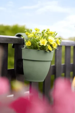 Hot Elho Balkonkasten Vibia Easyhanger grün 20,5 x 24,1 x 26,5 cm Blumenampeln & Hängetöpfe|Blumentöpfe & Pflanzgefäße