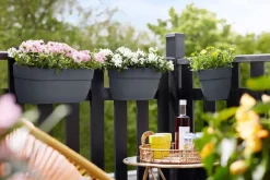 Online Elho Balkonkasten Vibia Easyhanger anthrazit 20,5 x 24,1 x 26,5 cm Blumenampeln & Hängetöpfe|Blumentöpfe & Pflanzgefäße