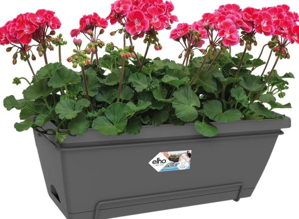 Elho Barcelona Balkonkasten XL all-in-1 55 x 32,2 x 22,7 cm anthrazit Balkonkästen|Blumentöpfe & Pflanzgefäße