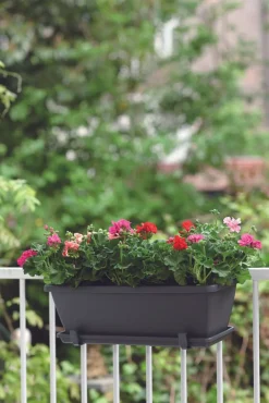 Outlet Elho Barcelona Balkonkasten 50 cm anthrazit Balkonkästen|Blumentöpfe & Pflanzgefäße