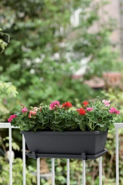 Outlet Elho Barcelona Balkonkasten 50 cm anthrazit Balkonkästen|Blumentöpfe & Pflanzgefäße