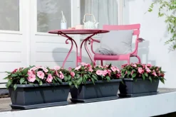 Hot Elho Barcelona XL Blumenkasten Untersetzer 54 cm anthrazit Untersetzer