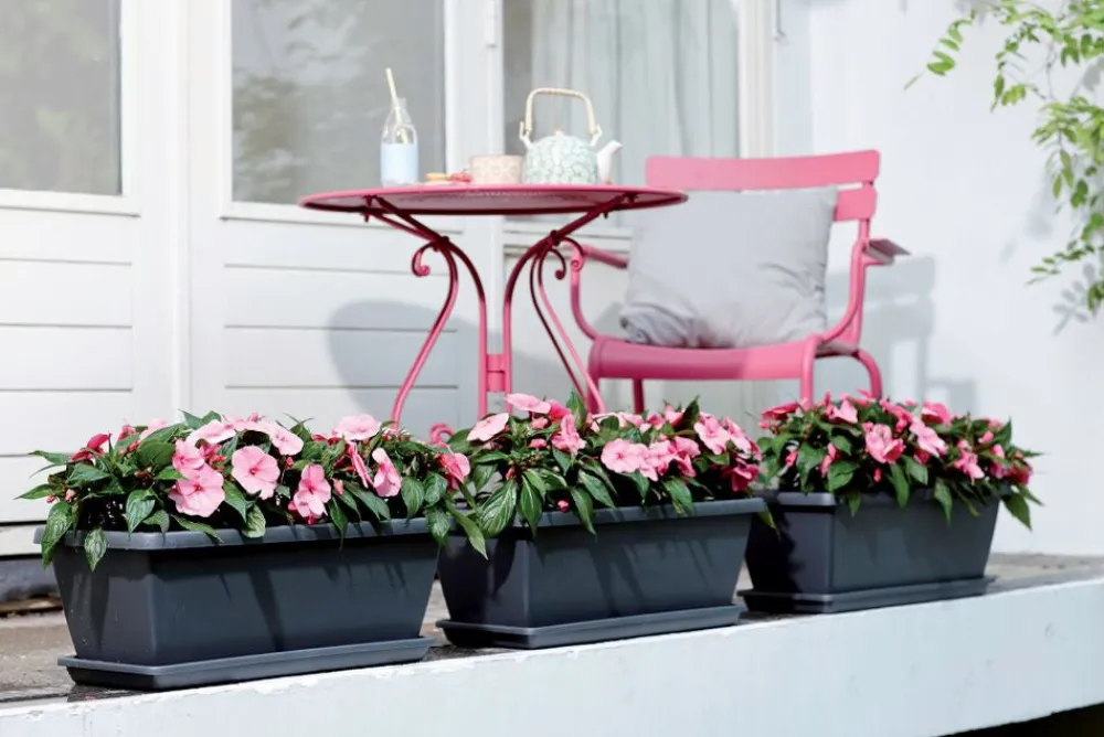 Hot Elho Barcelona XL Blumenkasten 60 cm anthrazit Pflanzkübel|Blumentöpfe & Pflanzgefäße