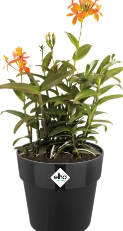 New Elho Blumentopf B. for original Liv D 18,1 cm H 16,5 cm schwarz Blumentöpfe & Pflanzgefäße|Blumentöpfe