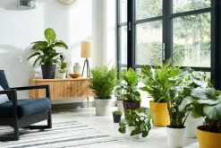 New Elho Blumentopf B. for original Liv D 18,1 cm H 16,5 cm schwarz Blumentöpfe & Pflanzgefäße|Blumentöpfe