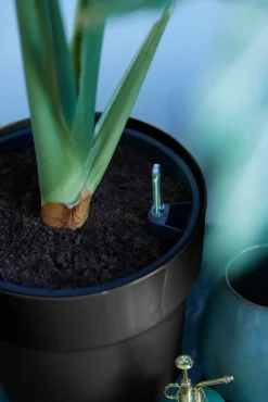 New Elho Blumentopf B. for original Liv D 18,1 cm H 16,5 cm schwarz Blumentöpfe & Pflanzgefäße|Blumentöpfe