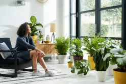 Discount Elho Blumentopf B for original D 14 cm H 12,8 cm weiß Blumentöpfe & Pflanzgefäße|Blumentöpfe