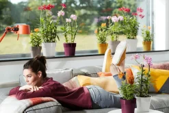 Discount Elho Blumentopf B for original D 14 cm H 12,8 cm weiß Blumentöpfe & Pflanzgefäße|Blumentöpfe