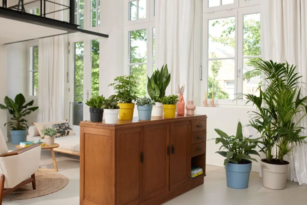 Discount Elho Blumentopf B. for original Liv D 16 cm H 14,6 cm schwarz Blumentöpfe & Pflanzgefäße|Blumentöpfe