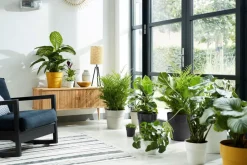 Outlet Elho Blumentopf B for original D 16 cm H 14,6 cm weiß Blumentöpfe & Pflanzgefäße|Blumentöpfe