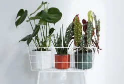 Outlet Elho Blumentopf B. for soft D 16 cm H 14,9 cm weiß Blumentöpfe & Pflanzgefäße|Blumentöpfe