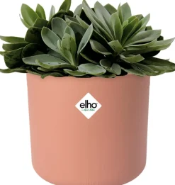 Discount Elho Blumentopf B. for soft D 16 cm H 14,9 cm rosa Blumentöpfe & Pflanzgefäße|Blumentöpfe