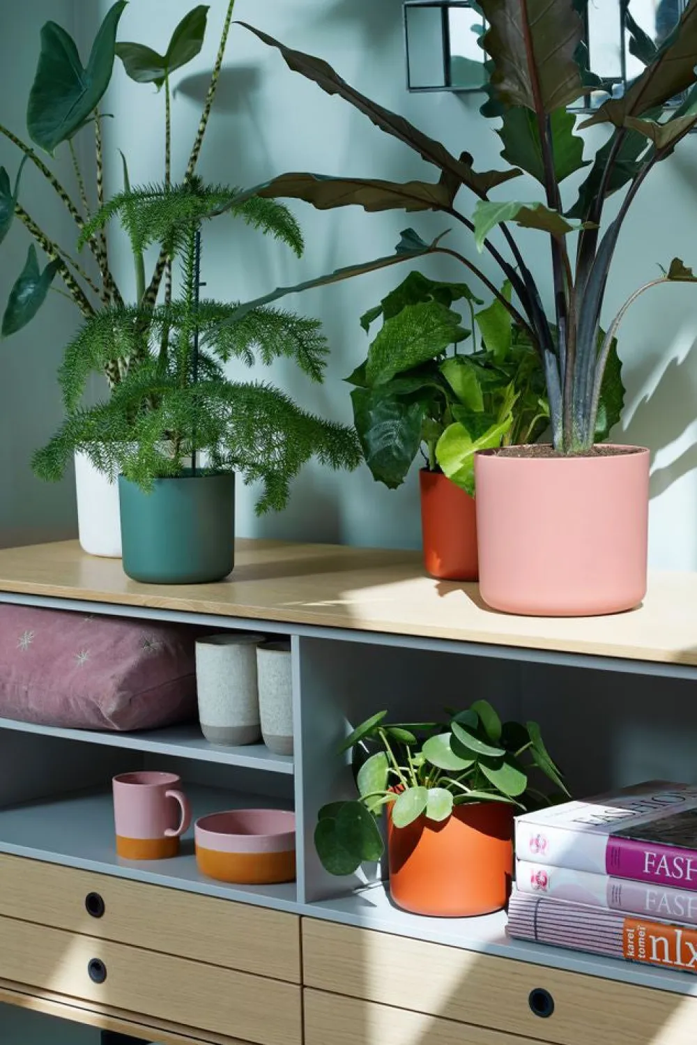 Discount Elho Blumentopf B. for soft D 16 cm H 14,9 cm rosa Blumentöpfe & Pflanzgefäße|Blumentöpfe