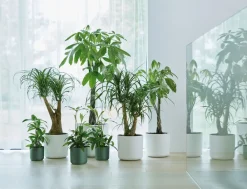 Clearance Elho Blumentopf B. for soft D 13,8 cm H 12,5 cm grün Blumentöpfe & Pflanzgefäße|Blumentöpfe