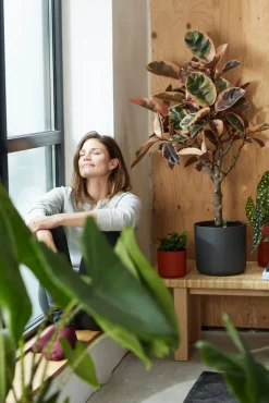 Discount Elho Blumentopf B. for soft D 16 cm H 14,9 cm anthrazit Blumentöpfe & Pflanzgefäße|Blumentöpfe