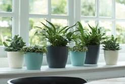 Online Elho Blumentopf Brussels rund D 18,2 cm H 16,7 cm weiß Blumentöpfe & Pflanzgefäße|Blumentöpfe