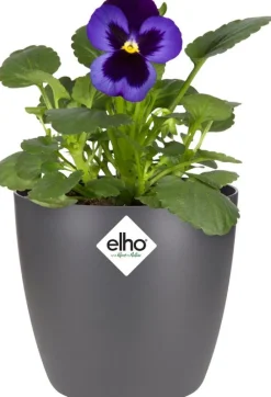Best Elho Blumentopf Brussels rund mini D 11 cm H 9,7 cm anthrazit Blumentöpfe|Blumentöpfe & Pflanzgefäße