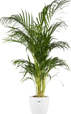 Elho Blumentopf Brussels rund D 25,1 cm H 23,1 cm weiß Blumentöpfe & Pflanzgefäße|Blumentöpfe