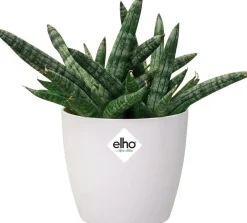Online Elho Blumentopf Brussels rund mini D 13 cm H 11,4 cm weiß Blumentöpfe|Blumentöpfe & Pflanzgefäße