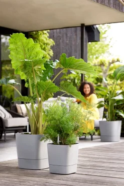 Best Elho Blumentopf greensense aqua care hellgrau 38 x 38 x 39 cm Blumentöpfe & Pflanzgefäße|Blumentöpfe