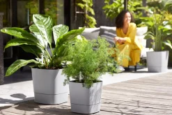 Best Elho Blumentopf greensense aqua care hellgrau 38 x 38 x 39 cm Blumentöpfe & Pflanzgefäße|Blumentöpfe