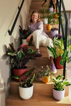 Discount Elho Blumentopf Jazz gelb D 23,1 H 21,5 cm Blumentöpfe & Pflanzgefäße|Blumentöpfe